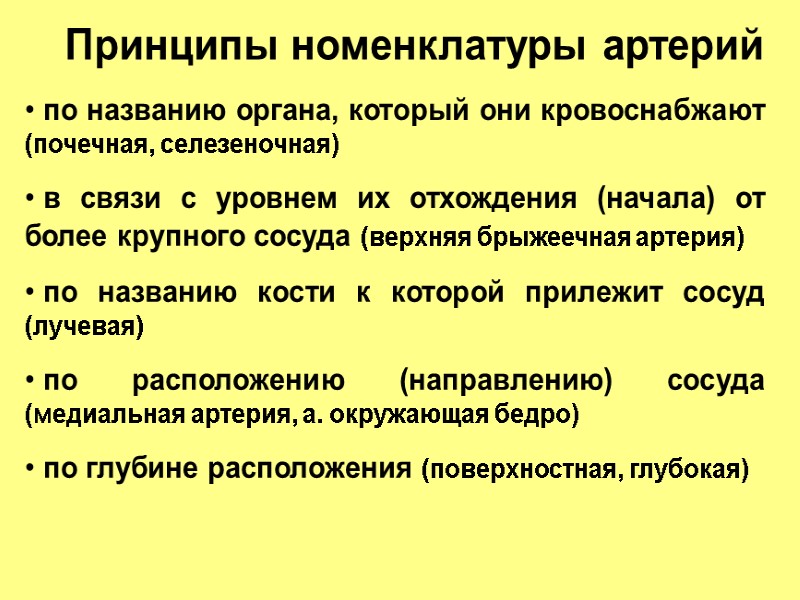 Принципы номенклатуры артерий  по названию органа, который они кровоснабжают (почечная, селезеночная)  в
